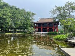 -顺峰山公园