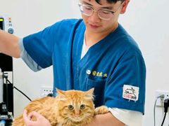 -康爱犬猫诊所·牙专科·骨外科·影像内科(丰宁店)