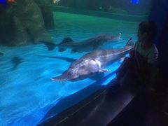 -常州海昌海洋探索馆
