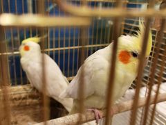 -潇湘·永州会馆(百子湾店)