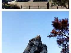 -顺峰山公园
