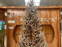 -北京鹿世界主题园