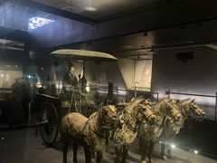 -秦始皇帝陵博物院-丽山园