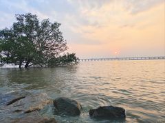 -宝安西湾红树林湿地公园