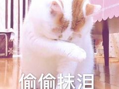 -天空之城动漫电玩世界(路劲又一城店)