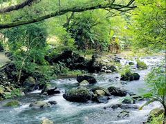 -广州市石门国家森林公园