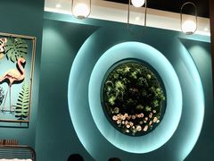 -柠檬树茶餐厅(海雅缤纷城店)