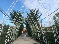 -意大利农场度假村