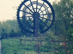 -溱湖国家湿地公园