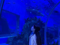 -石家庄极地海洋世界