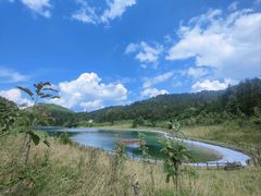 -武陵山森林公园
