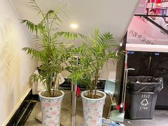 -鸡毛店·川菜(双楠店)