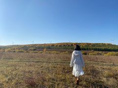 -塞罕坝国家级自然保护区