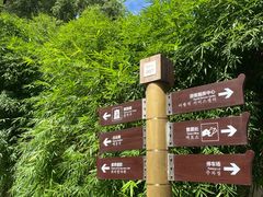 -黄鹤楼