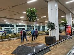 -英迪拉·甘地国际机场