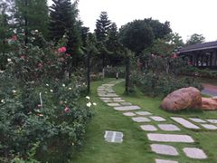 -映月湖公园