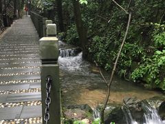 -十八棵（老龙井）御茶园(老龙井店)