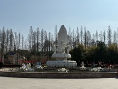 -水杉园