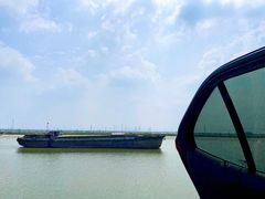 -合肥滨湖国家森林公园