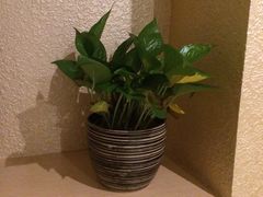 -麦子MaiMassage(打浦桥店)