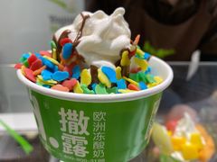 -Salud撒露欧洲冻酸奶(蓝色港湾店)