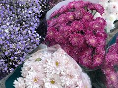 -秦美花卉(天朗·莱茵小城2期店)