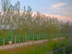 -沙县小吃文化城