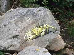 -黑龙潭风景区
