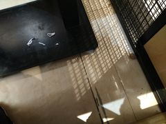 -为什么牛潮汕牛肉火锅(万胜广场店)