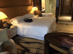 -西安赛瑞喜来登大酒店