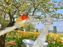 -名花谷生态庄园