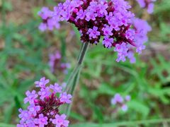 -云和夜泊酒店·中餐厅