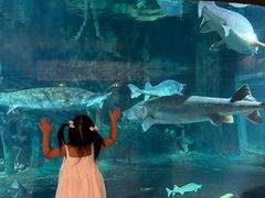 -华夏文旅西安度假区