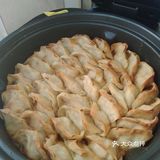 20191110001西葫白萝卜丝虾仁鸡蛋馅饺子煎吃菜谱