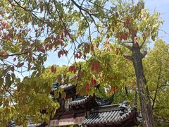 -西园戒幢律寺