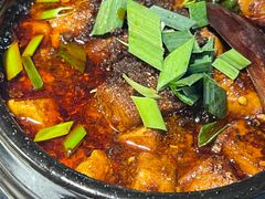 -陈麻婆豆腐(旗舰店)