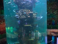 -青岛嘉年华主题乐园