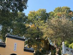-许阿姨糕团店(南京总店)