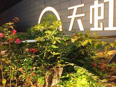 -财神鸡煲(华强北店)