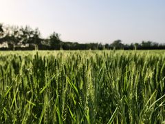 -汉长安城未央宫国家考古遗址公园