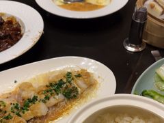 -品悦(崇明凯悦店)