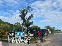 -花岙岛