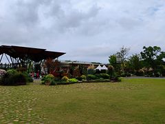 -上海长兴岛郊野公园