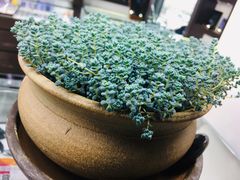 -视野联行眼镜蔡司·依视路官方授权店(顺城店)