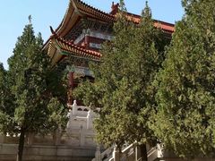 -龙口南山旅游景区