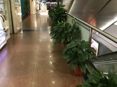 -雷允上(南京西路店)