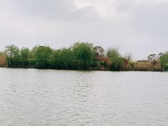 -长兴太湖图影湿地文化园