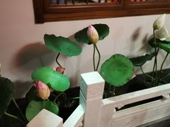 -芦月轩羊蝎子(劲松店)