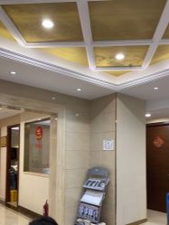 -碧莲盛·不剃发植发