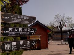 -大槐树寻根祭祖园